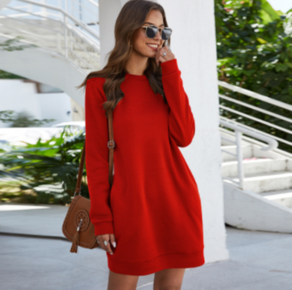 Casual Long Sleeve Mini Dress