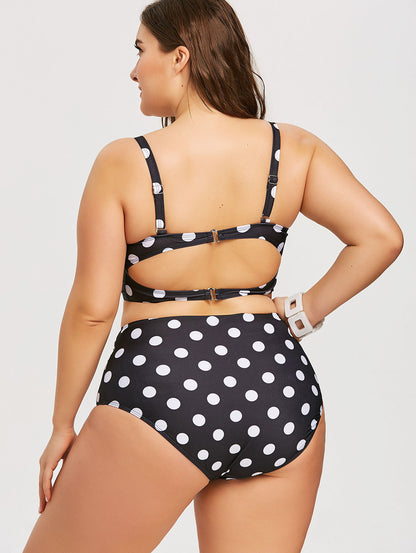 Underwire Plus Size Polka Dot Bikini